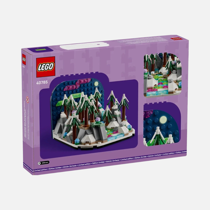 Wonders of the Natural World Northern Lights Diorama - LEGO Set (40785)