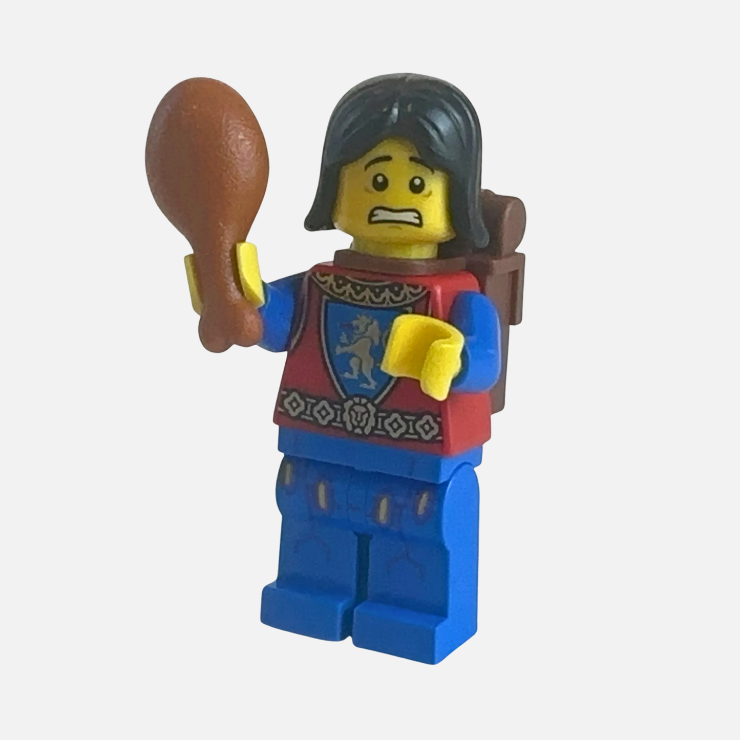 Squire "Lion Knight" Custom LEGO Castle Minifigure